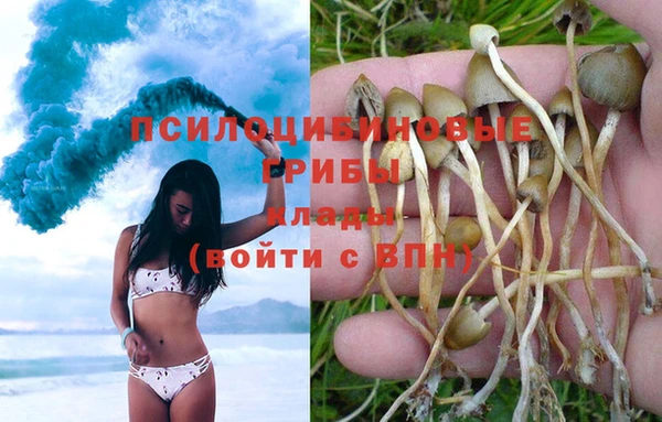 круглые Бронницы